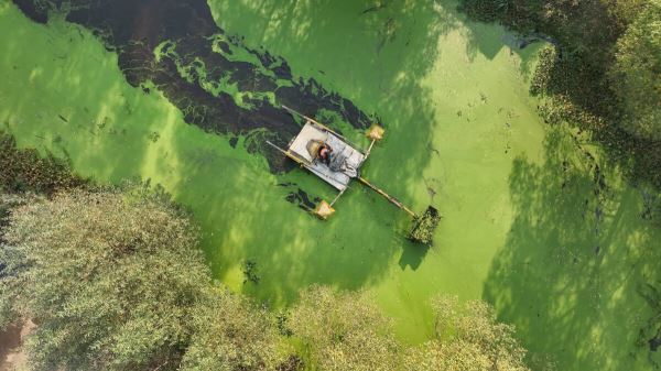 В Люберцах расчистили 12 водоемов