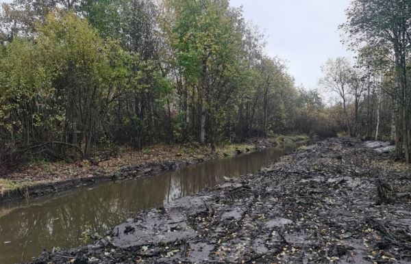 В Петрозаводске расчистили речку Рыбку