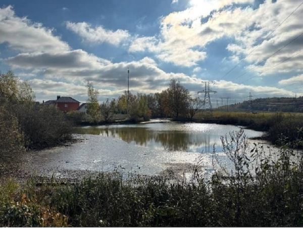 В Подмосковье освобождают гектар захваченной территорииДмитровский городской суд удовлетворил исковые требования межрайонного природоохранного прокурора об изъятии из незаконного владения земель, расположенных в деревне Дмитровка.