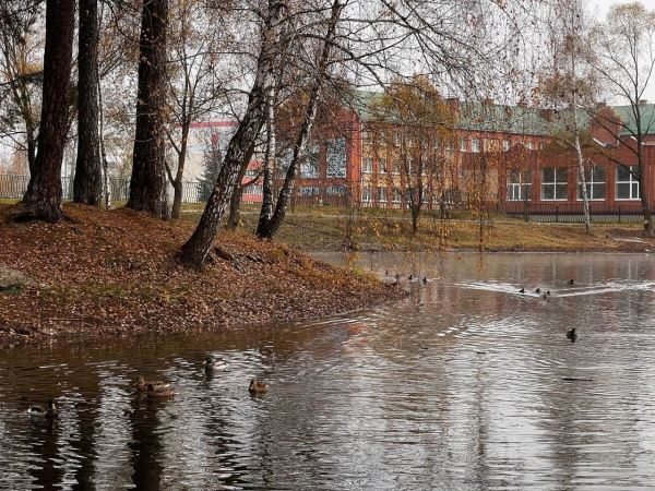 В Коломне расчистили Щуровские пруды