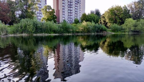 В Балашихе расчистили Саввинский пруд